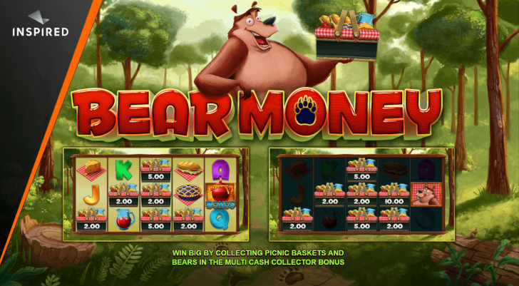 Bear Money Pokie